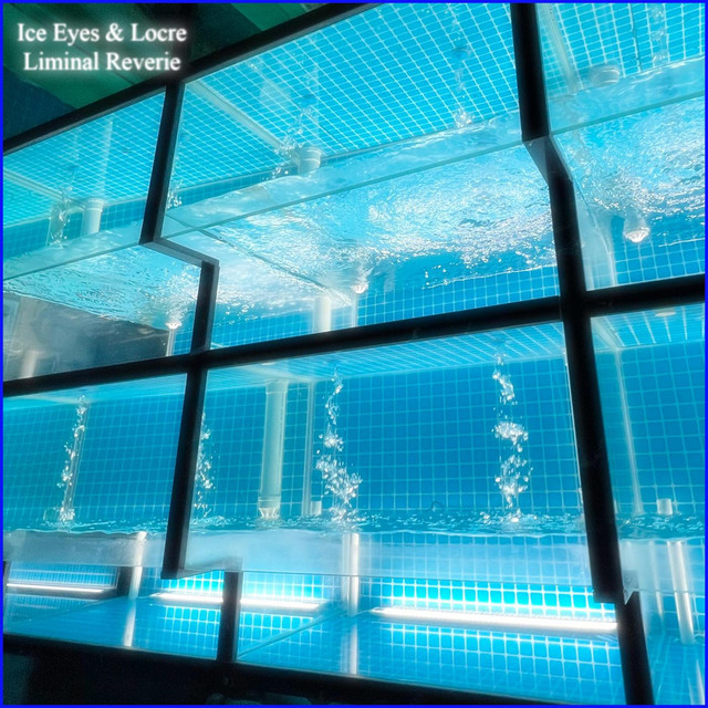 Liminal Reverie cover