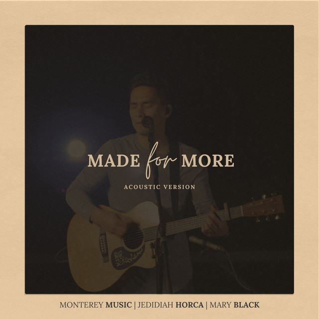 Made for More (Acoustic Version) cover