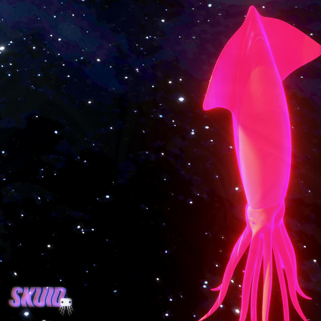 Skuid cover art