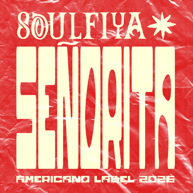 Señorita cover art