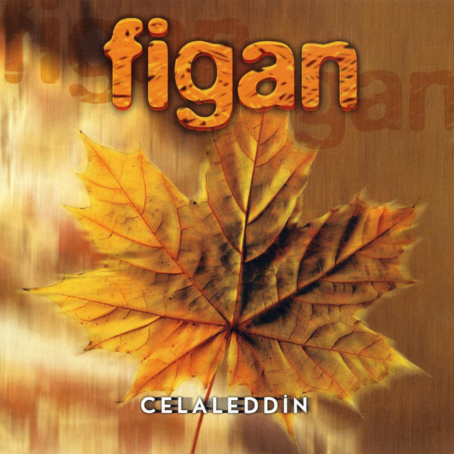 Figan cover art