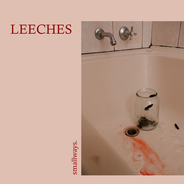 LEECHES cover art