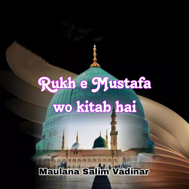 Maulana Salim Vadinar