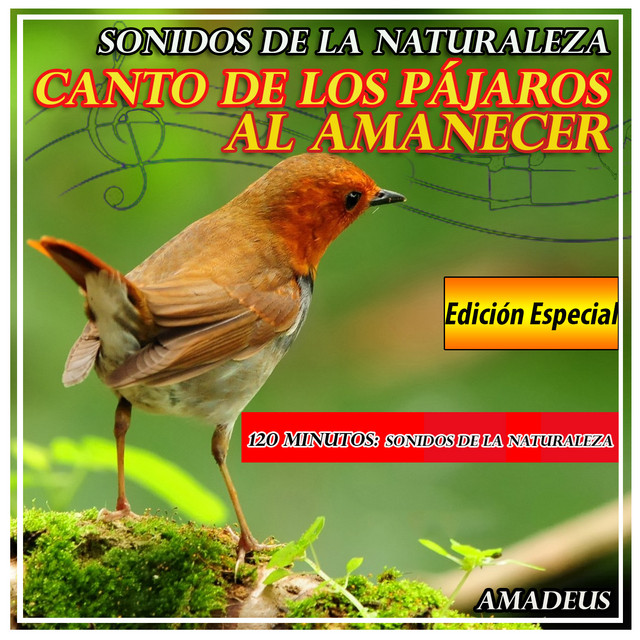 Canto de los Pájaros al Amanecer: Sonidos de la Naturaleza: Edición Especial cover art