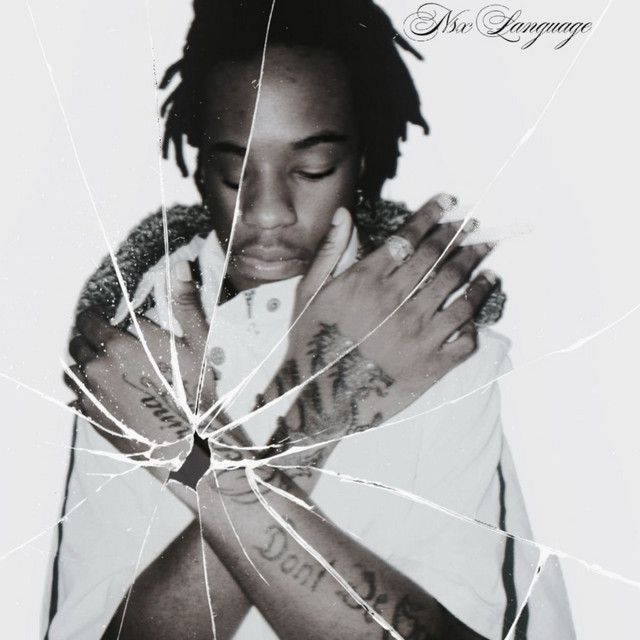 nsx language cover art