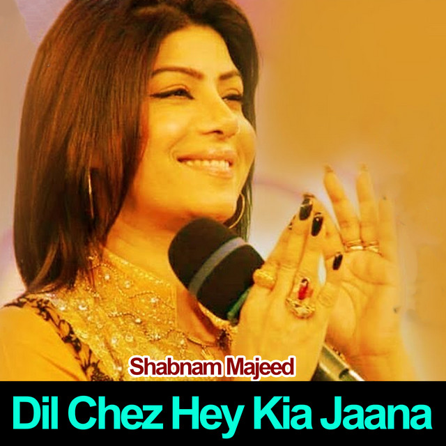 Dil Chez Hai Kia Jana Yeh Jaan Bhi Tumhari Hai cover art