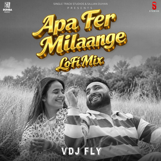 Apa Fer Milaange (Lofi Mix) album image