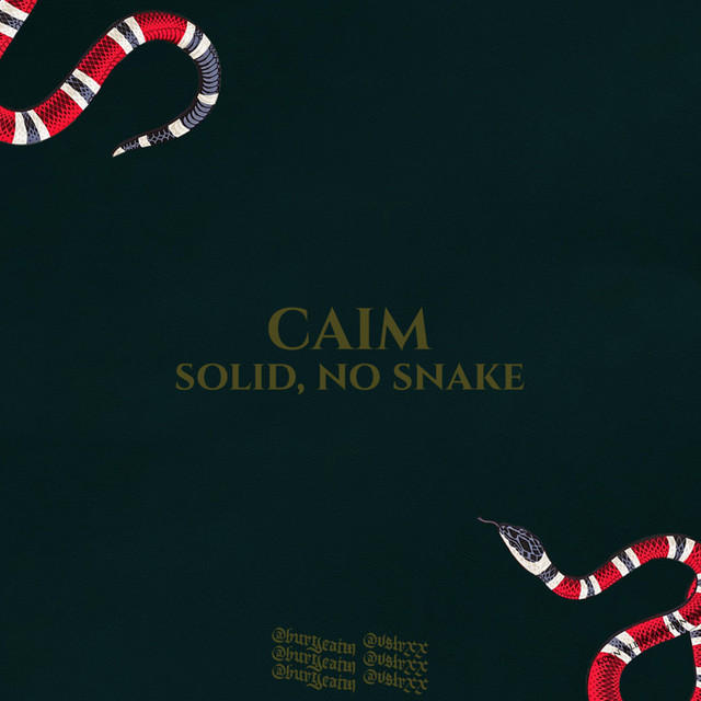 SOLID, NO SNAKE! cover art