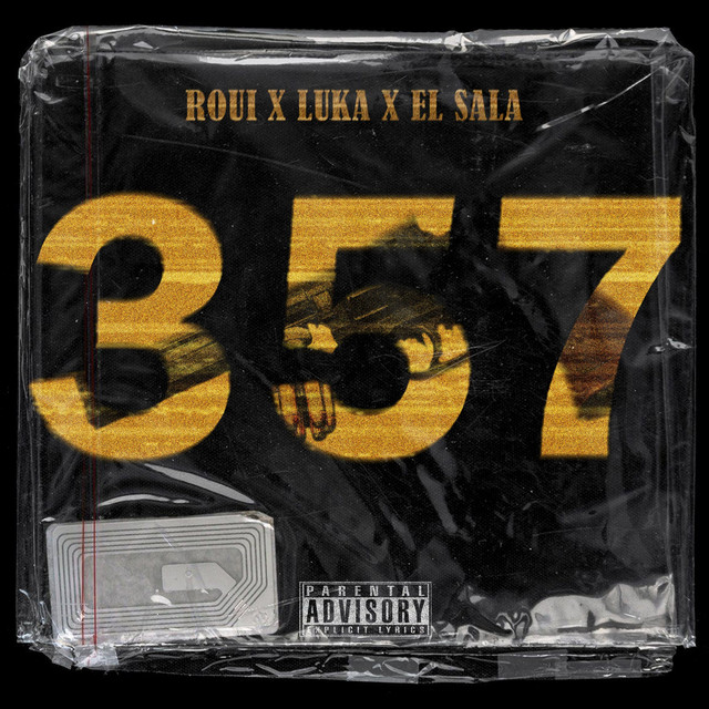 357 cover