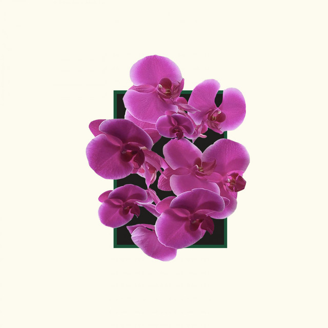 Tonos cover art