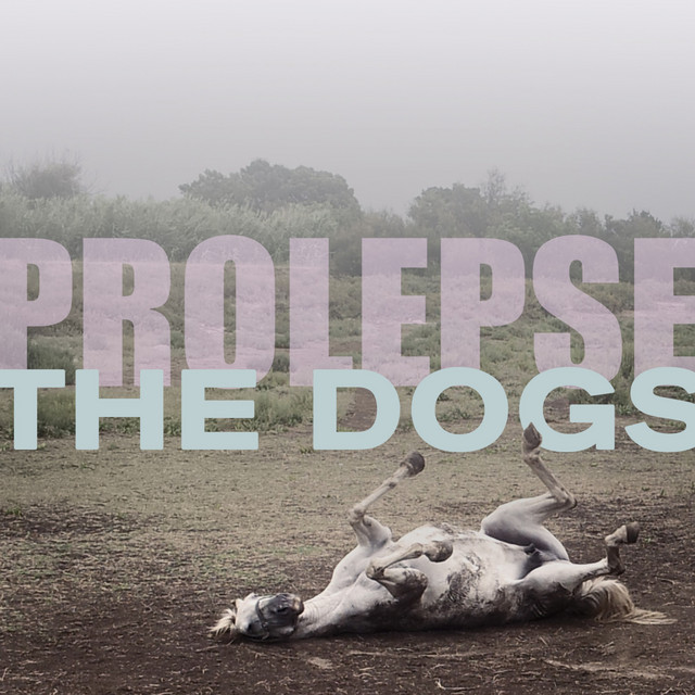 The Dogs cover