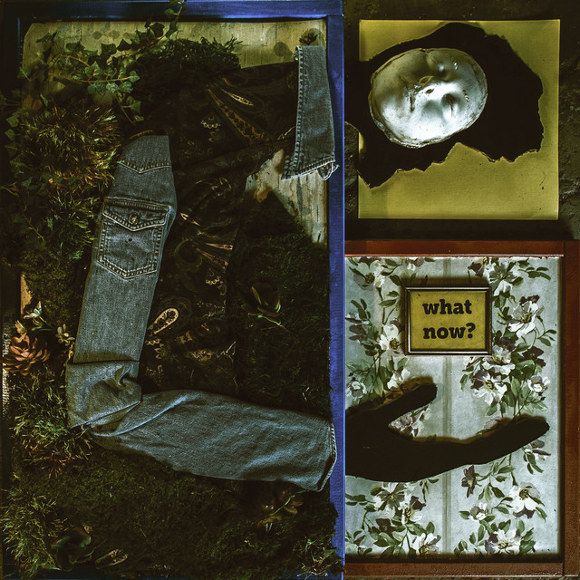 What Now? cover art