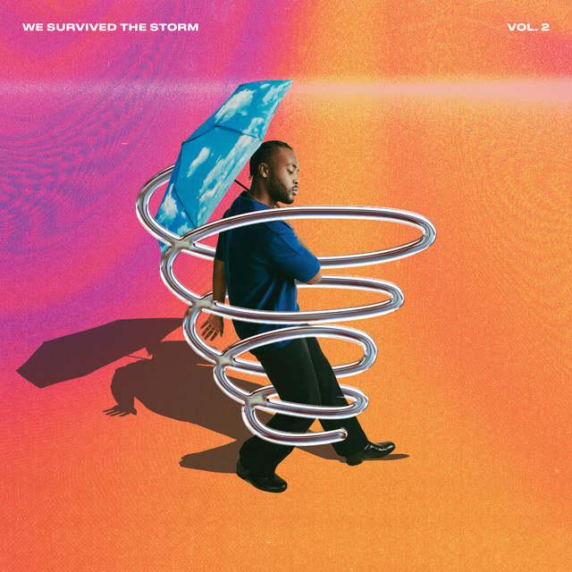 WE SURVIVED THE STORM, VOL. 2 cover art