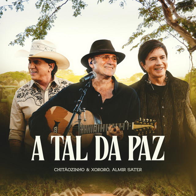 A Tal Da Paz (Ao Vivo) album image