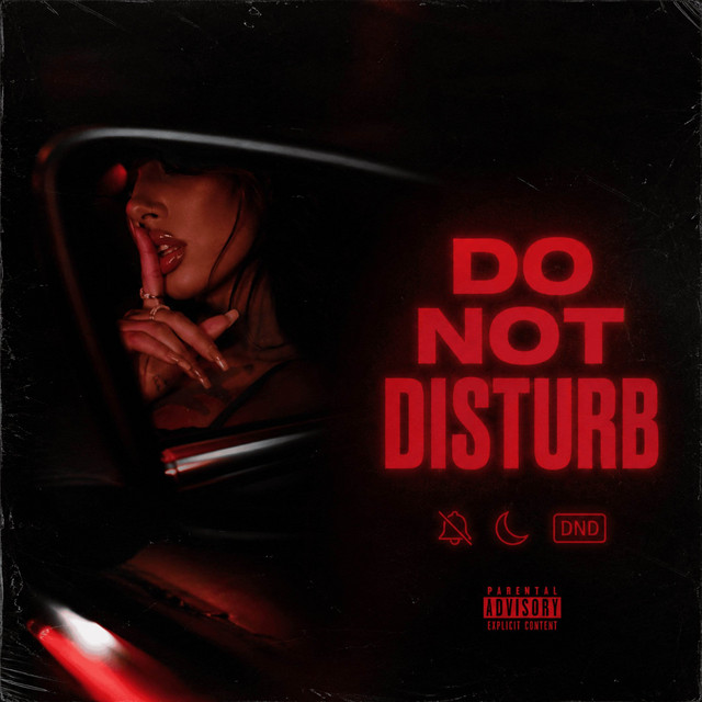 DO NOT DISTURB cover art