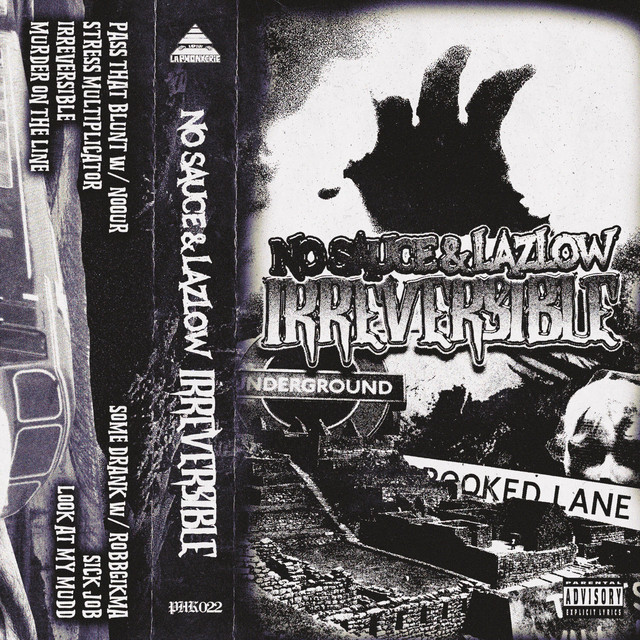 IRREVERSIBLE album image