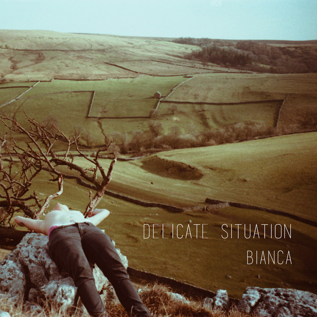 Delicate Situation cover art
