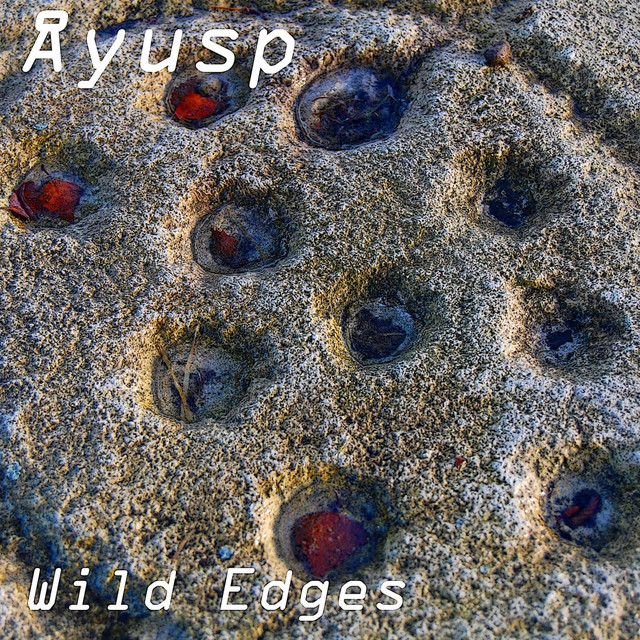 Wild Edges album image