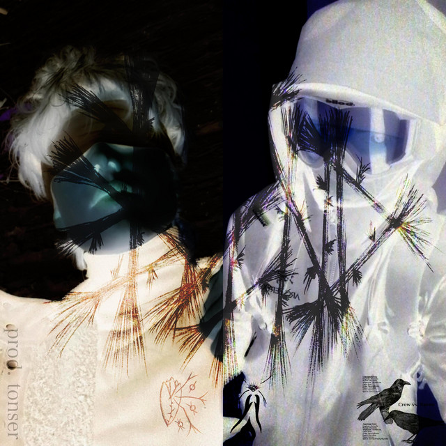 Blind cover art