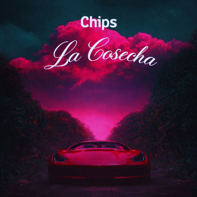 Chips