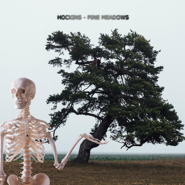 Обкладинка: Pine Meadows — Hockins