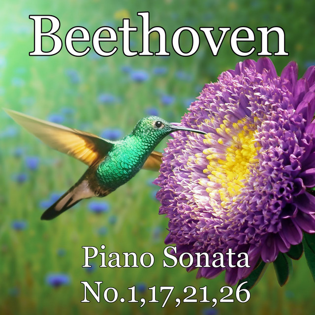 Piano Sonata No.1,17,21,26 cover art