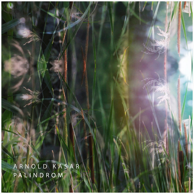 Palindrom cover art