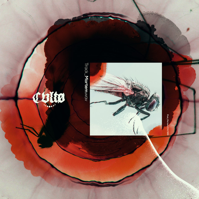 Mortem cover art