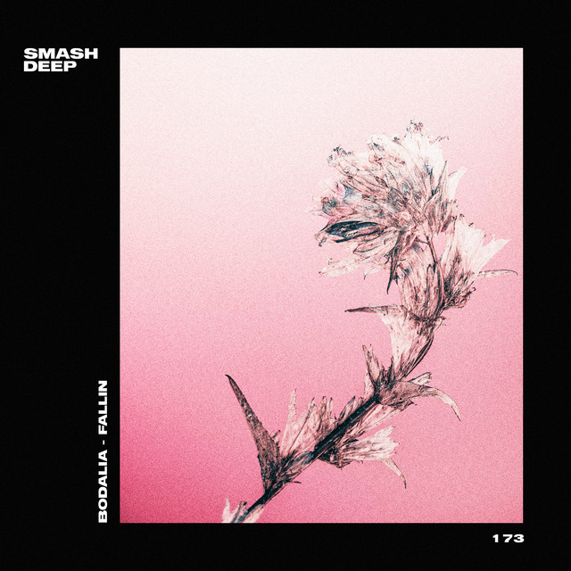 Fallin' cover art