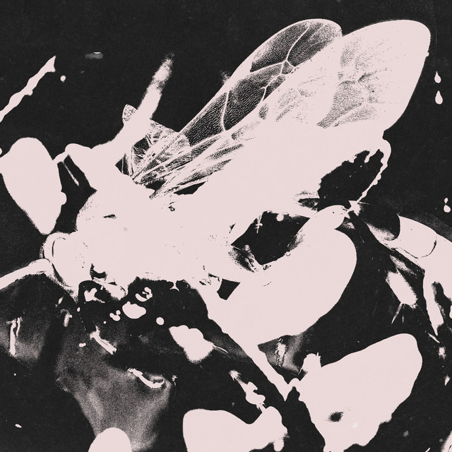 Last Seconds Of Resentment Required cover art