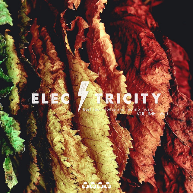 Electricity, Vol. 2 cover art