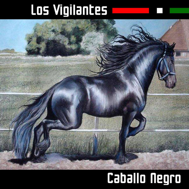 Los Vigilantes