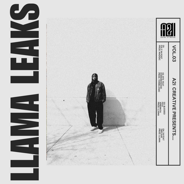 LLAMA LEAKS, Vol. 3 cover art