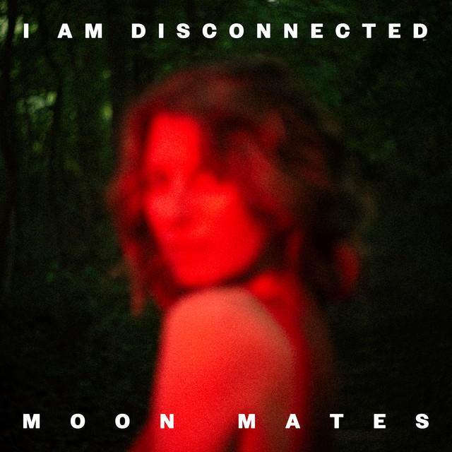 I Am Disconnected cover