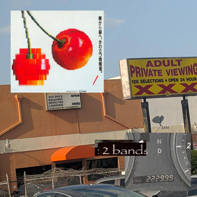 2daneck cover art