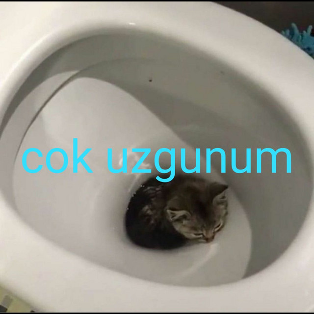 cok uzgunum cover art
