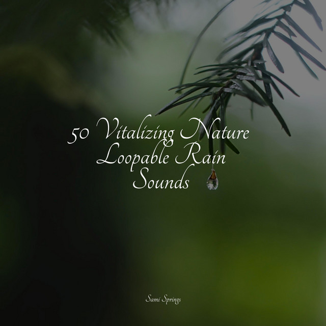 50 Natural Rain Sounds for Chilling Out - Album by Sleep Meditation ...