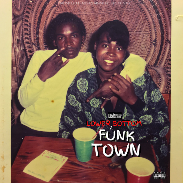 Lower Bottom 2 Funk Town cover art