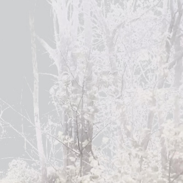 I Miss The Winter cover art