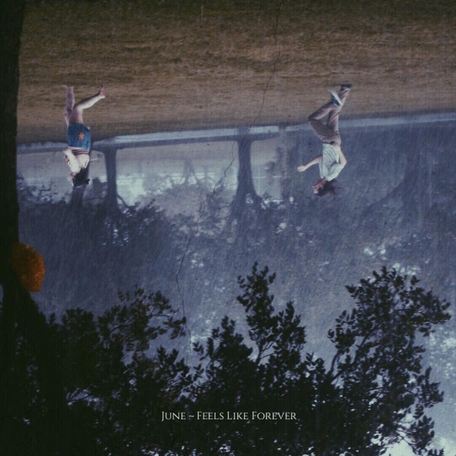 Feels Like Forever cover art