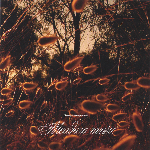 Meadow Music cover art