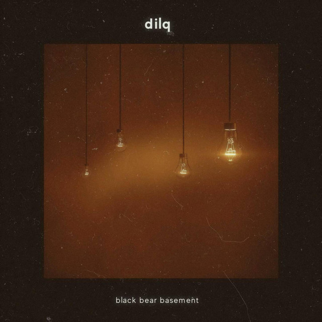 Dilq cover