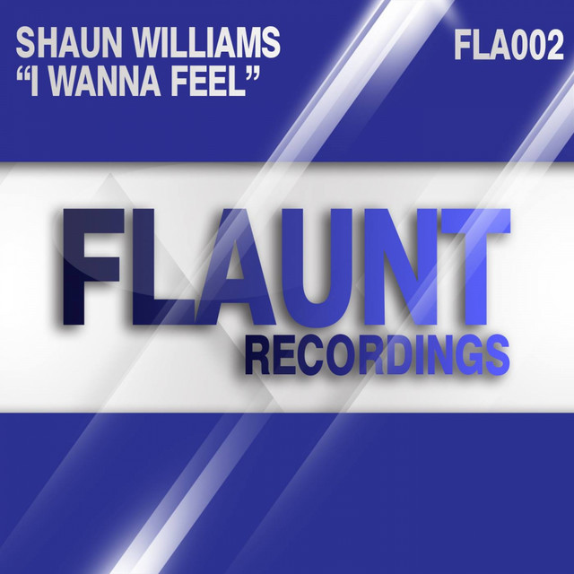 I Wanna Feel cover