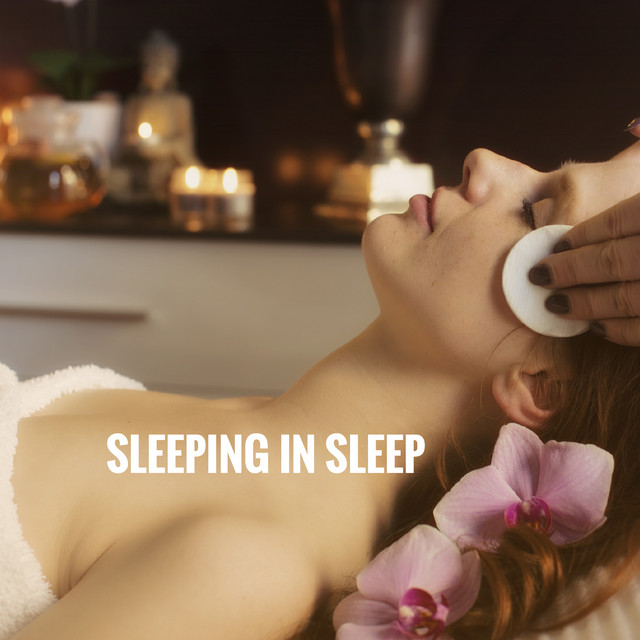 Sleeping in Sleep cover art