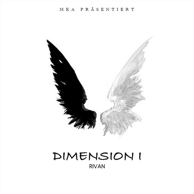 Dimension 1 cover art