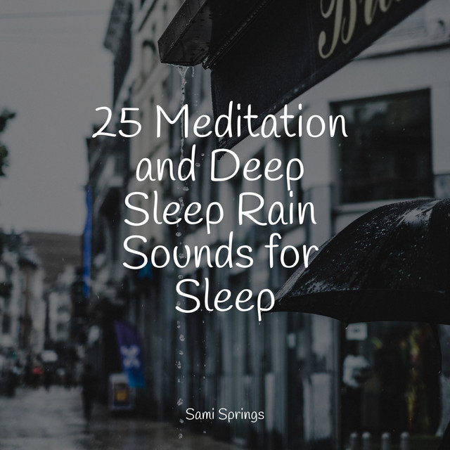 25 Meditation and Deep Sleep Rain Sounds for Sleep - Album by Musique ...