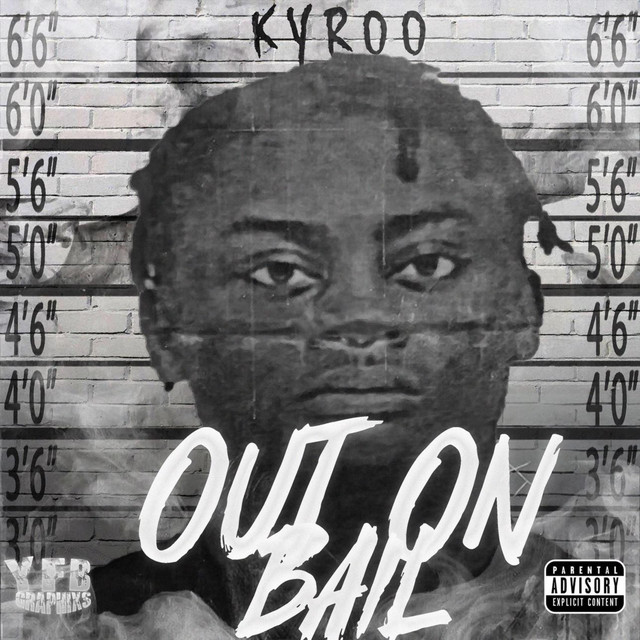 Kyroo2x
