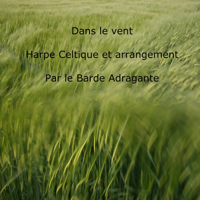 Adragante Photo