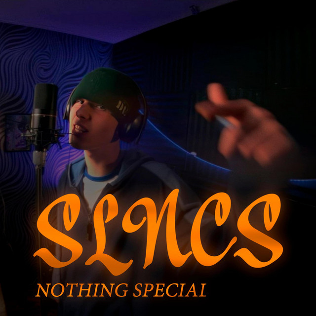 Cover art: Nothing Special — SLncS