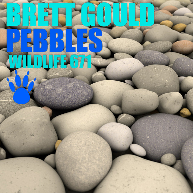 Pebbles